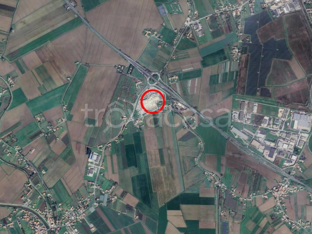 immagine annuncio 9 di 14