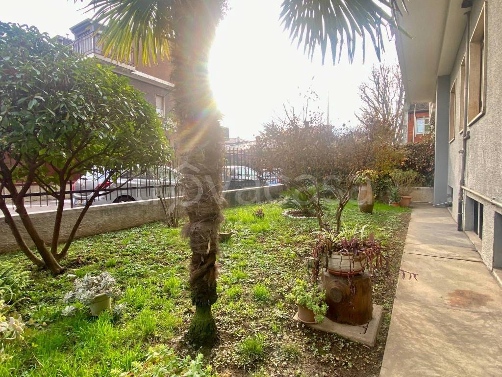 immagine annuncio 2 di 7