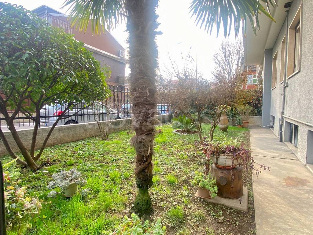 immagine annuncio 3 di 7