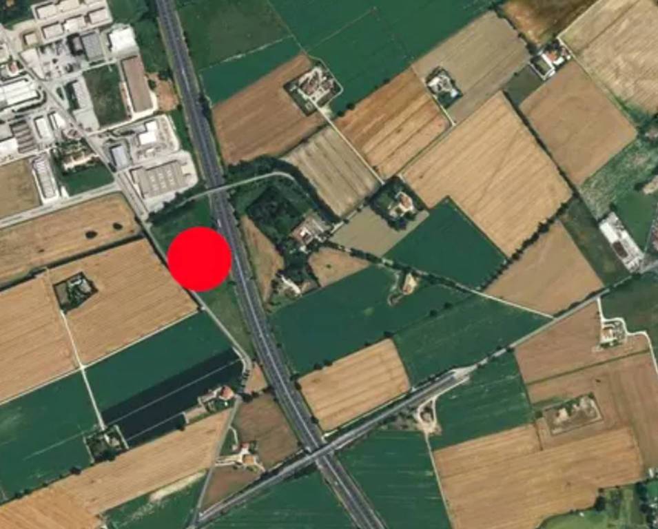 immagine annuncio 3 di 11