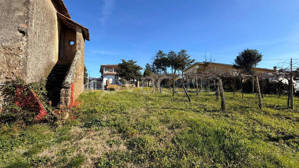 immagine annuncio 3 di 11