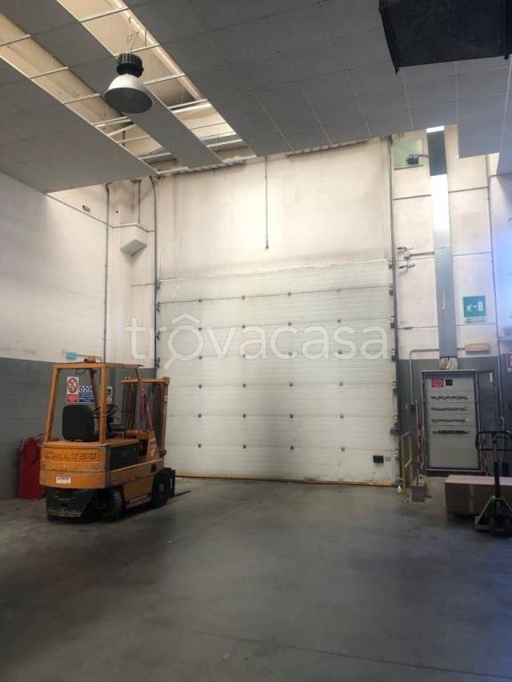 immagine annuncio 2 di 12