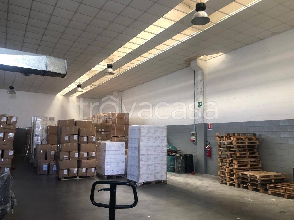 immagine annuncio 1 di 12