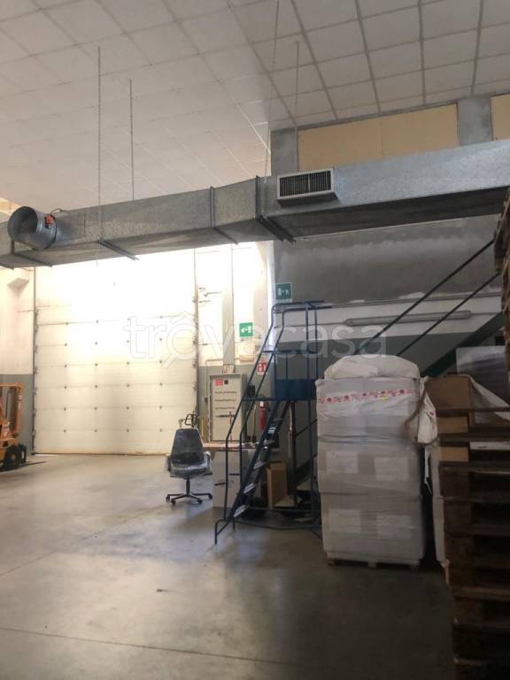 immagine annuncio 3 di 12