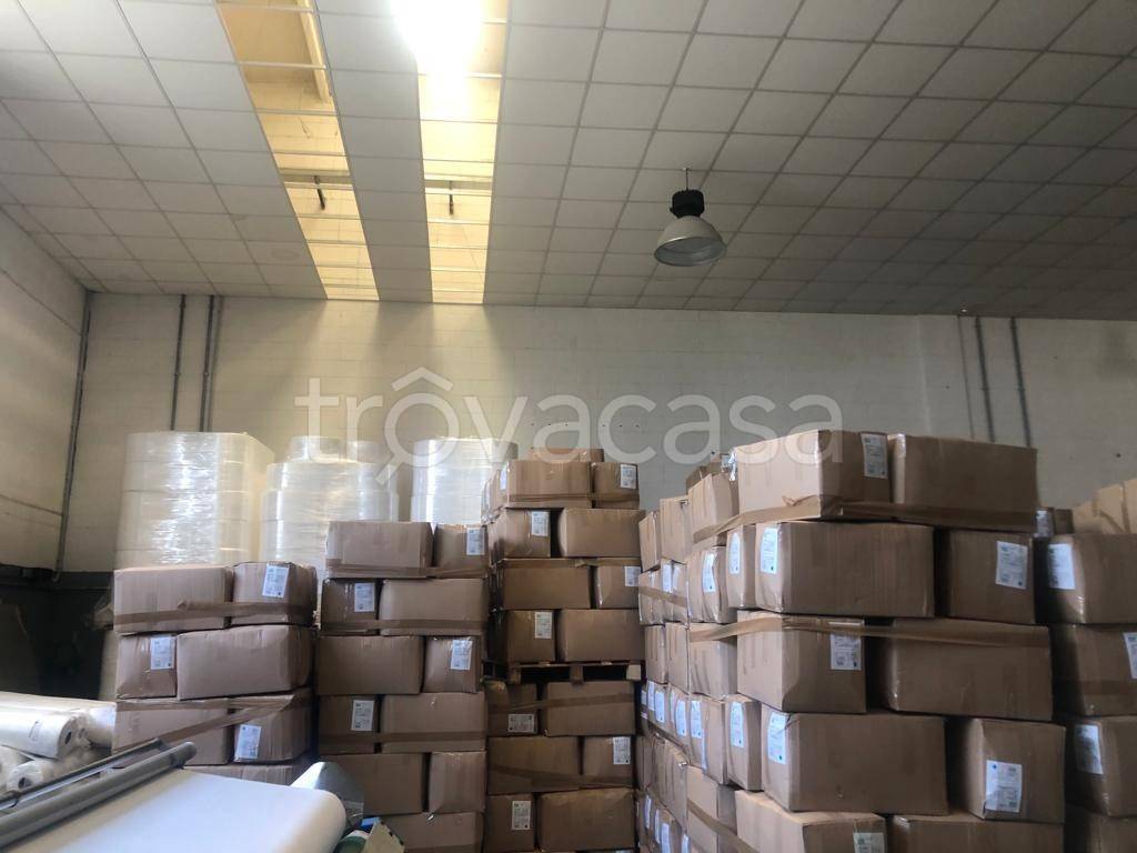 immagine annuncio 5 di 12