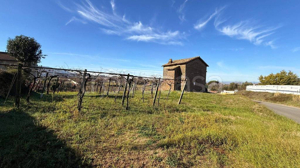 immagine annuncio 6 di 11