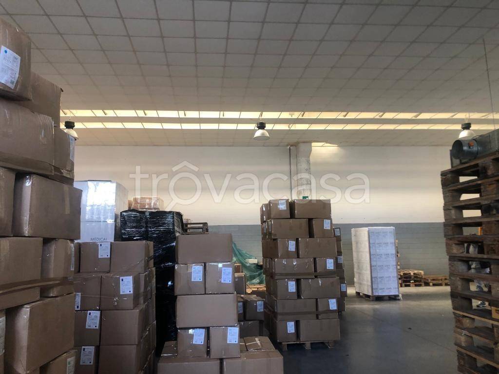 immagine annuncio 6 di 12