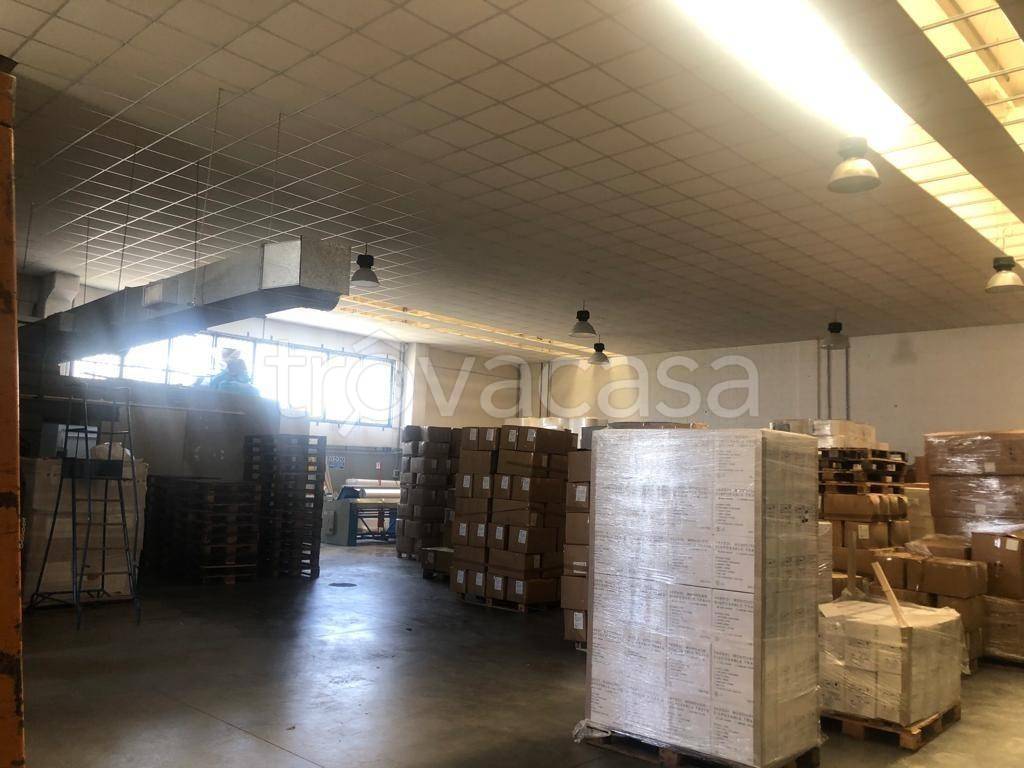 immagine annuncio 8 di 12