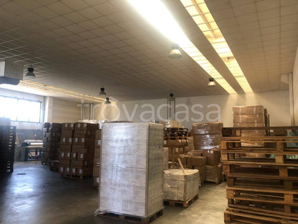 immagine annuncio 9 di 12