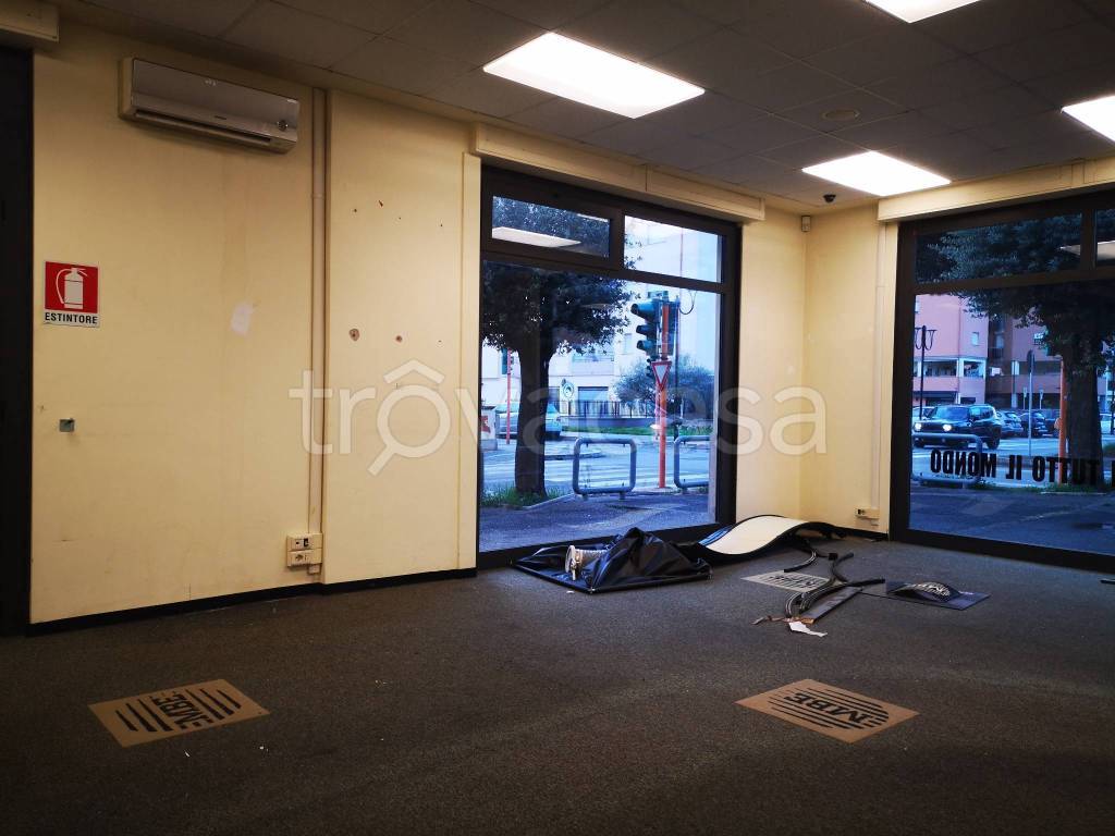 immagine annuncio 7 di 13