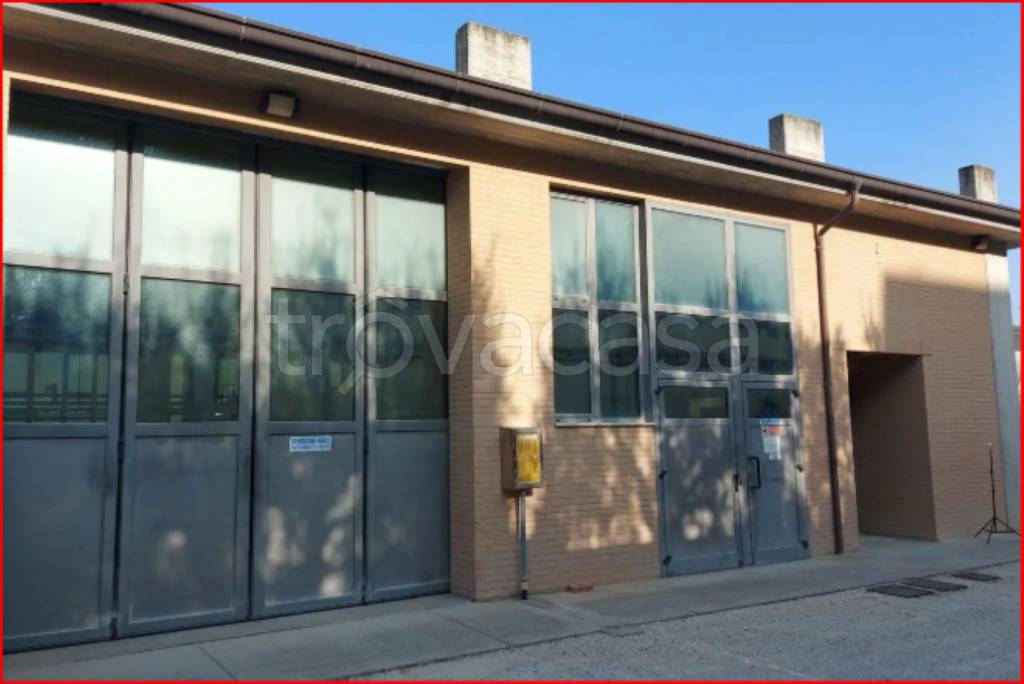 immagine annuncio 2 di 12