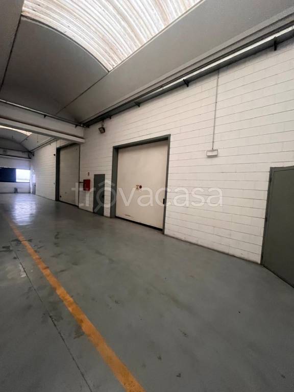 immagine annuncio 8 di 11