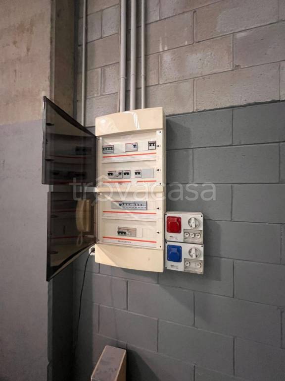 immagine annuncio 6 di 11