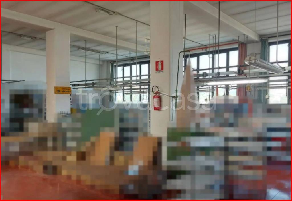 immagine annuncio 8 di 12