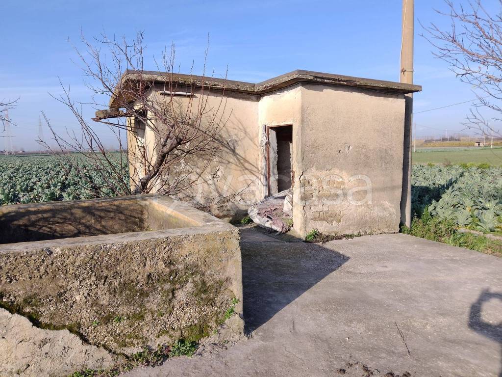 immagine annuncio 2 di 8