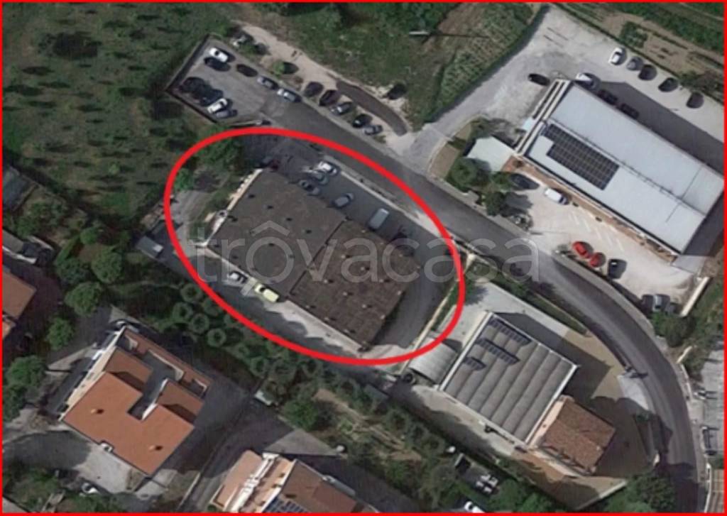 immagine annuncio 11 di 12