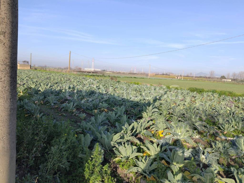 immagine annuncio 5 di 8