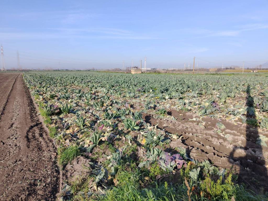 immagine annuncio 7 di 8