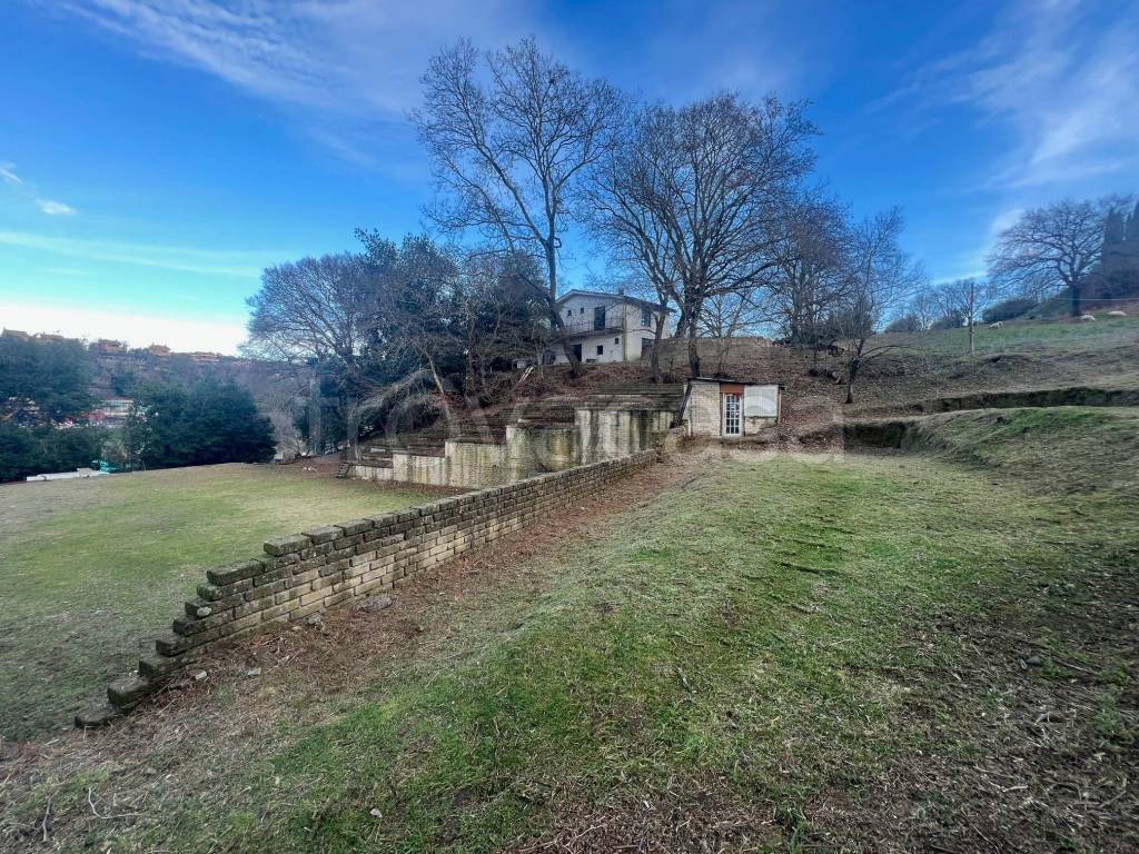 immagine annuncio 1 di 12