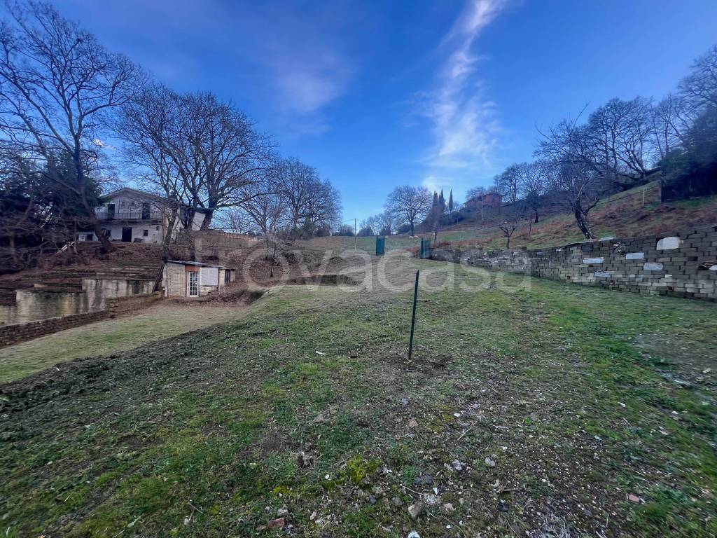 immagine annuncio 2 di 12