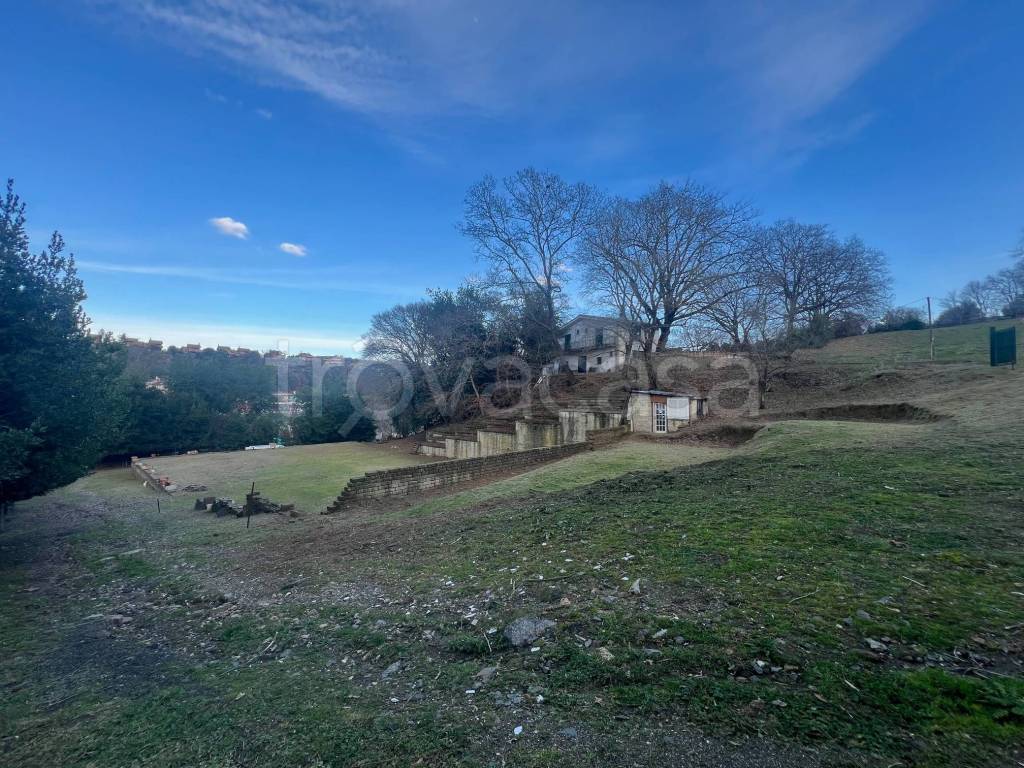 immagine annuncio 3 di 12