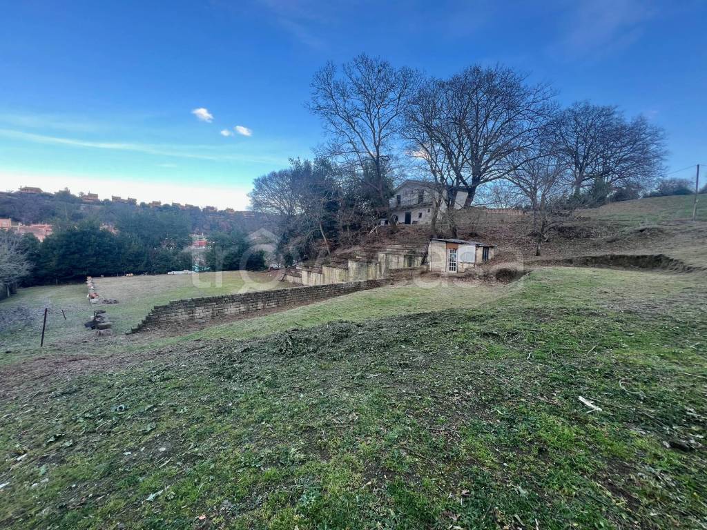 immagine annuncio 9 di 12