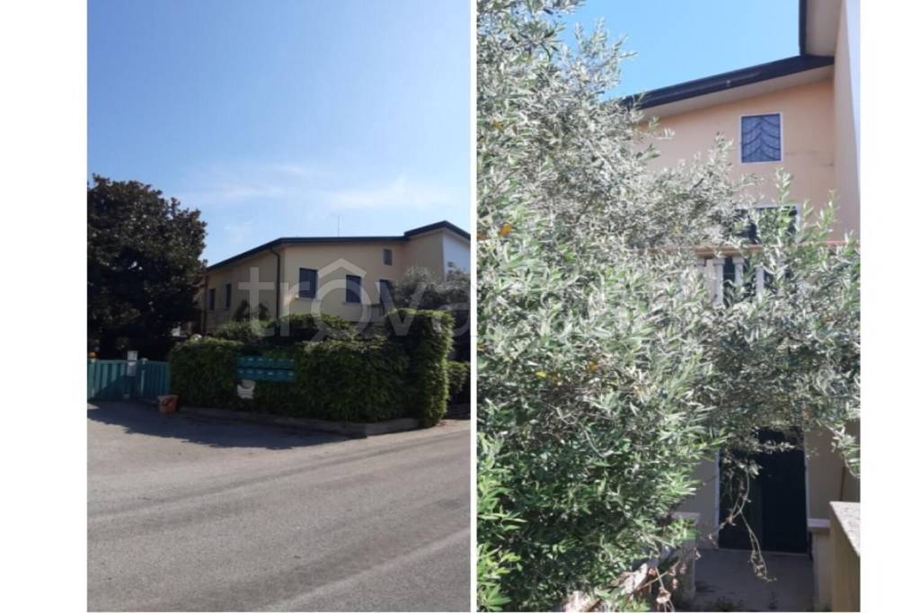 immagine annuncio 1 di 14