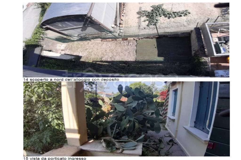 immagine annuncio 3 di 14