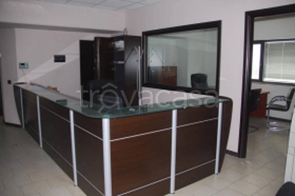 immagine annuncio 2 di 11