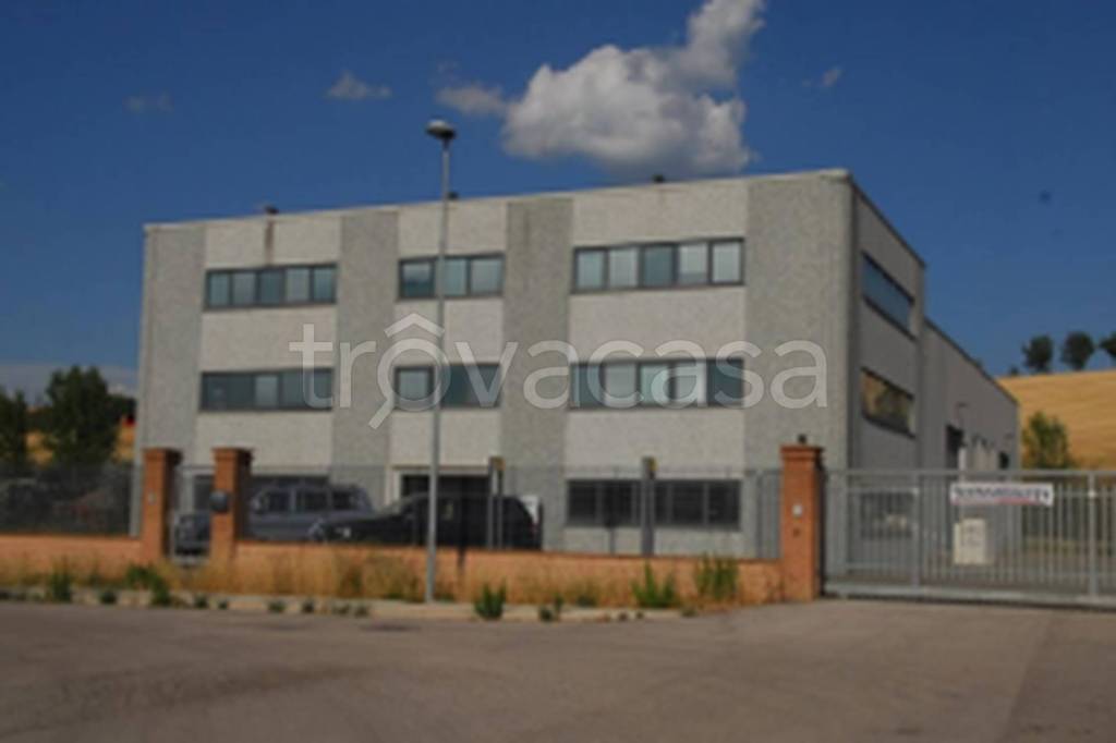 immagine annuncio 6 di 11