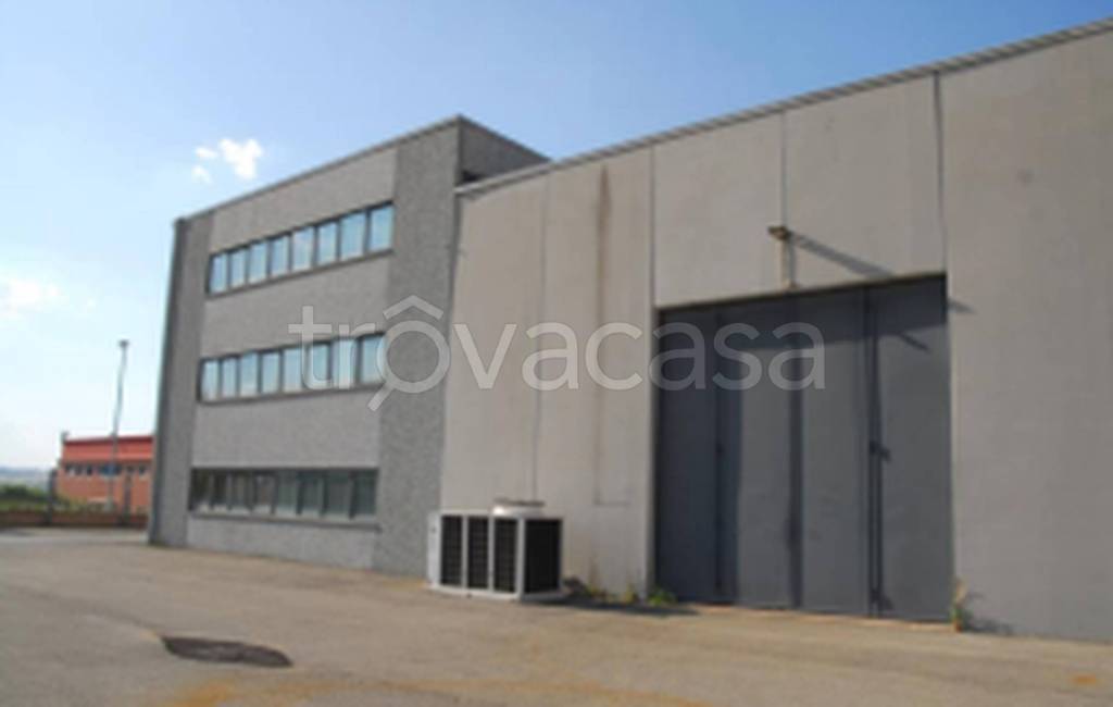 immagine annuncio 10 di 11