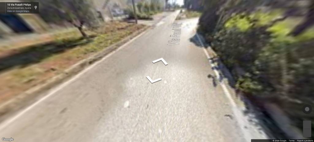 immagine annuncio 3 di 11