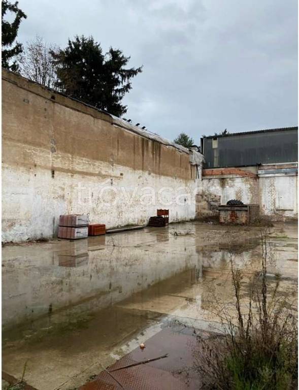 immagine annuncio 2 di 10