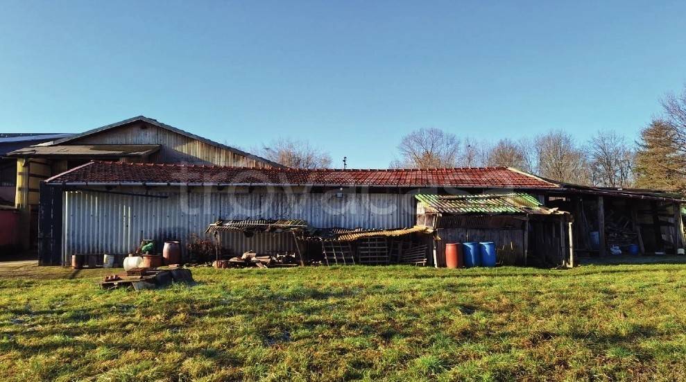 immagine annuncio 2 di 9