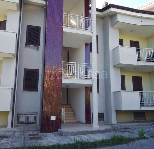 immagine annuncio 1 di 4