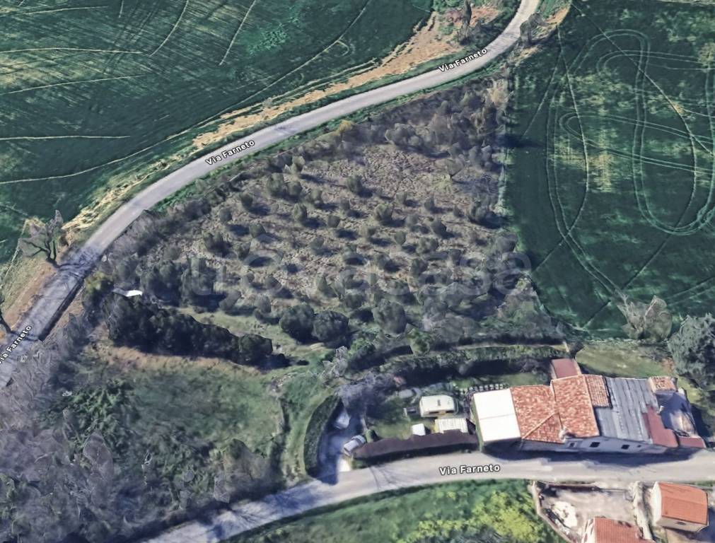 immagine annuncio 3 di 7