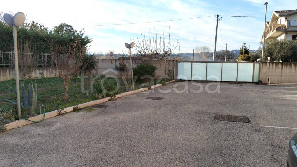 immagine annuncio 10 di 11