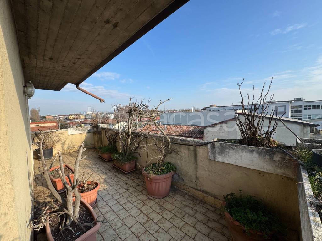 immagine annuncio 13 di 15