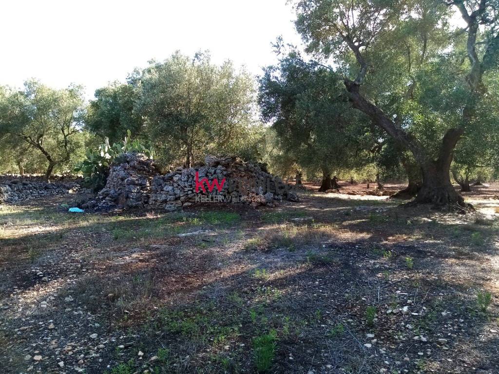 immagine annuncio 6 di 7