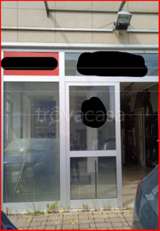 immagine annuncio 2 di 11