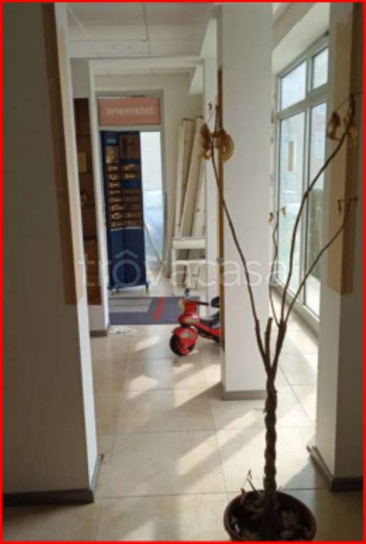 immagine annuncio 4 di 11