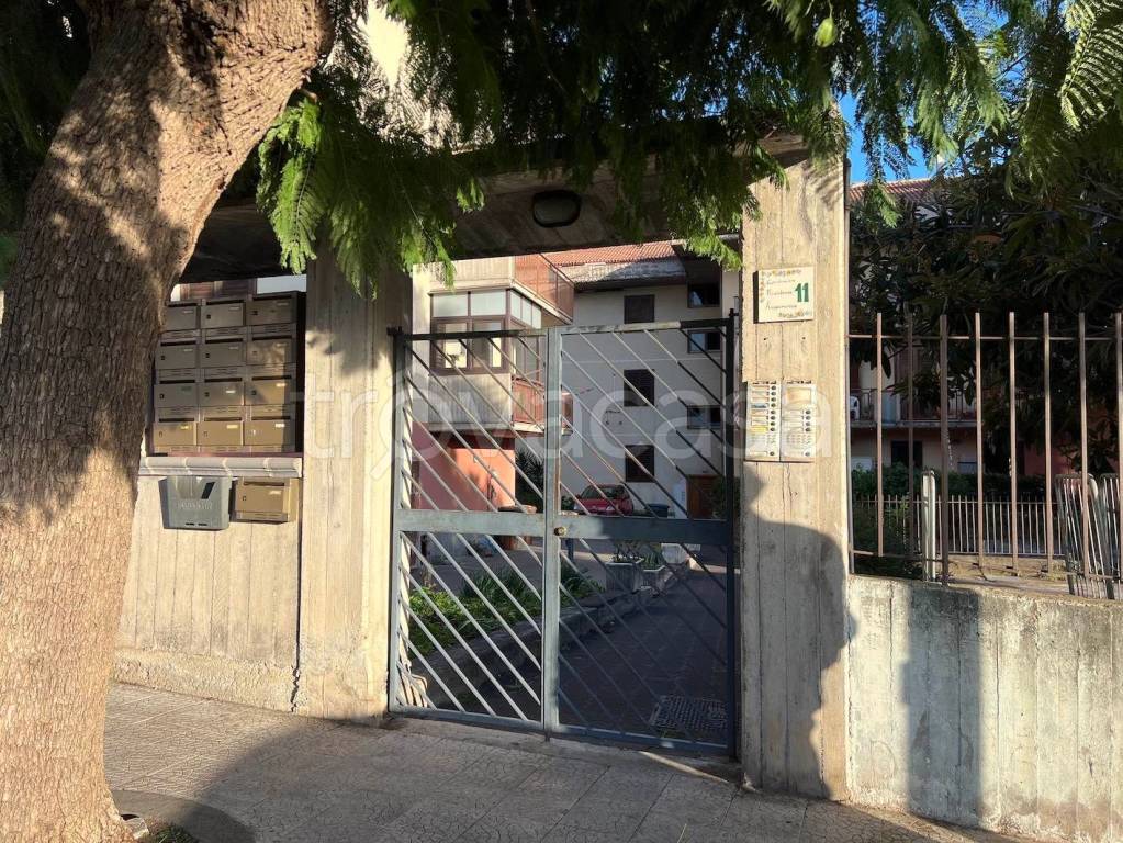 immagine annuncio 1 di 14