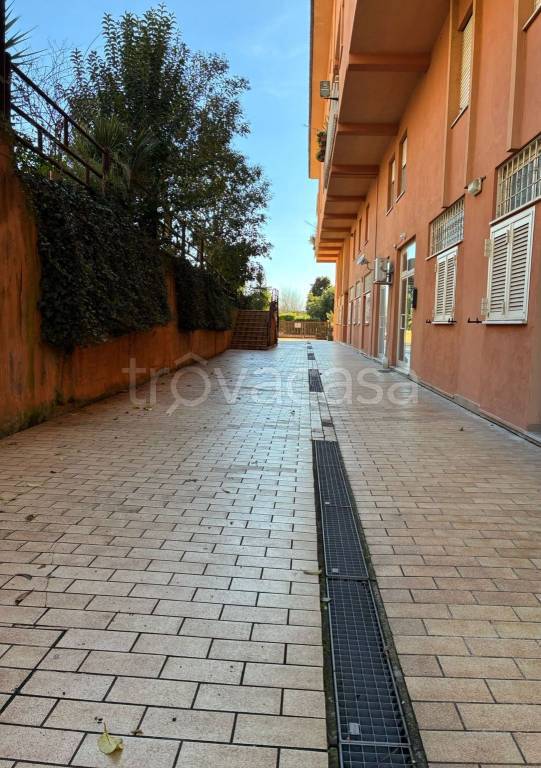 immagine annuncio 3 di 12