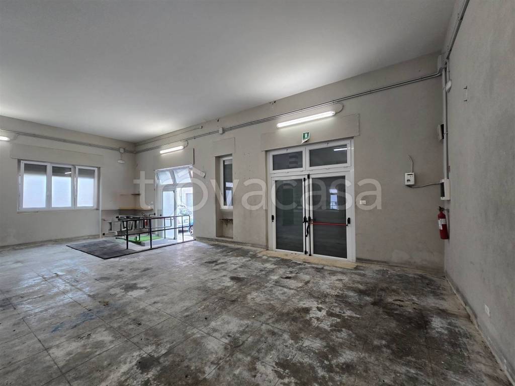 immagine annuncio 11 di 12