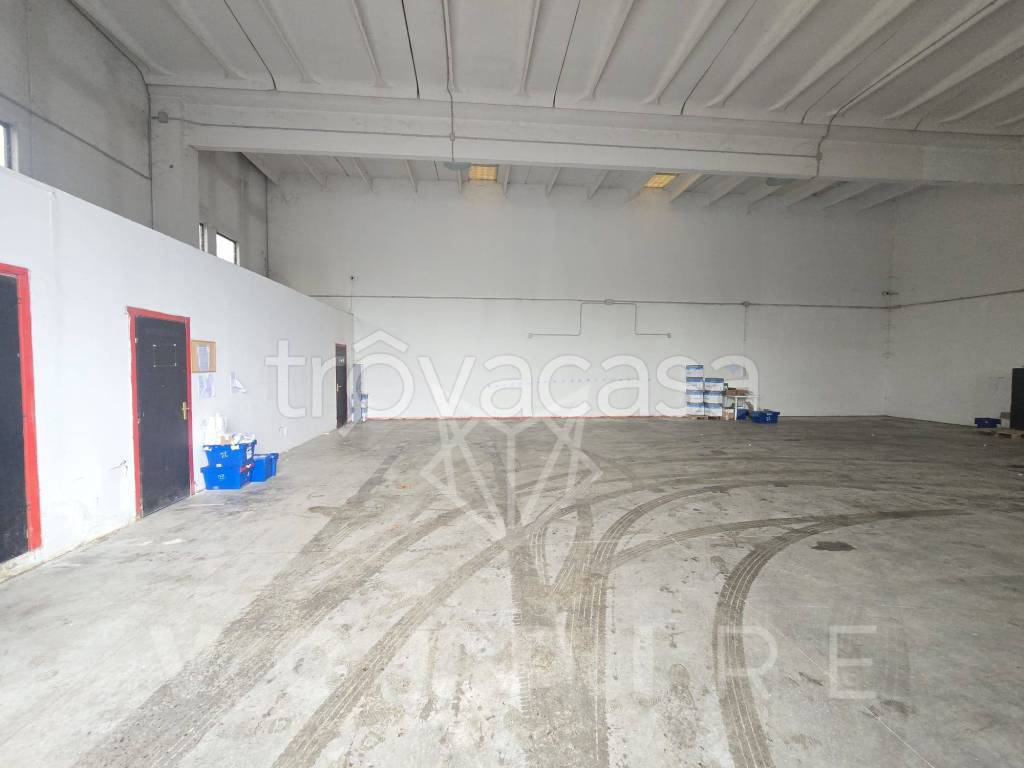 immagine annuncio 1 di 6