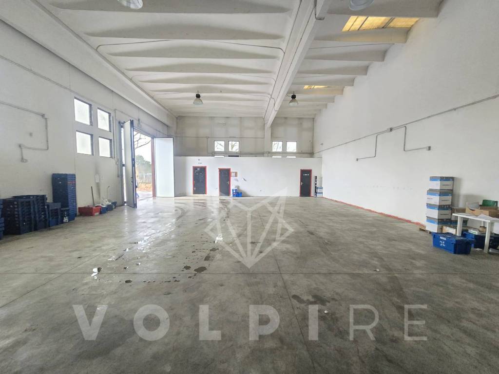 immagine annuncio 3 di 6