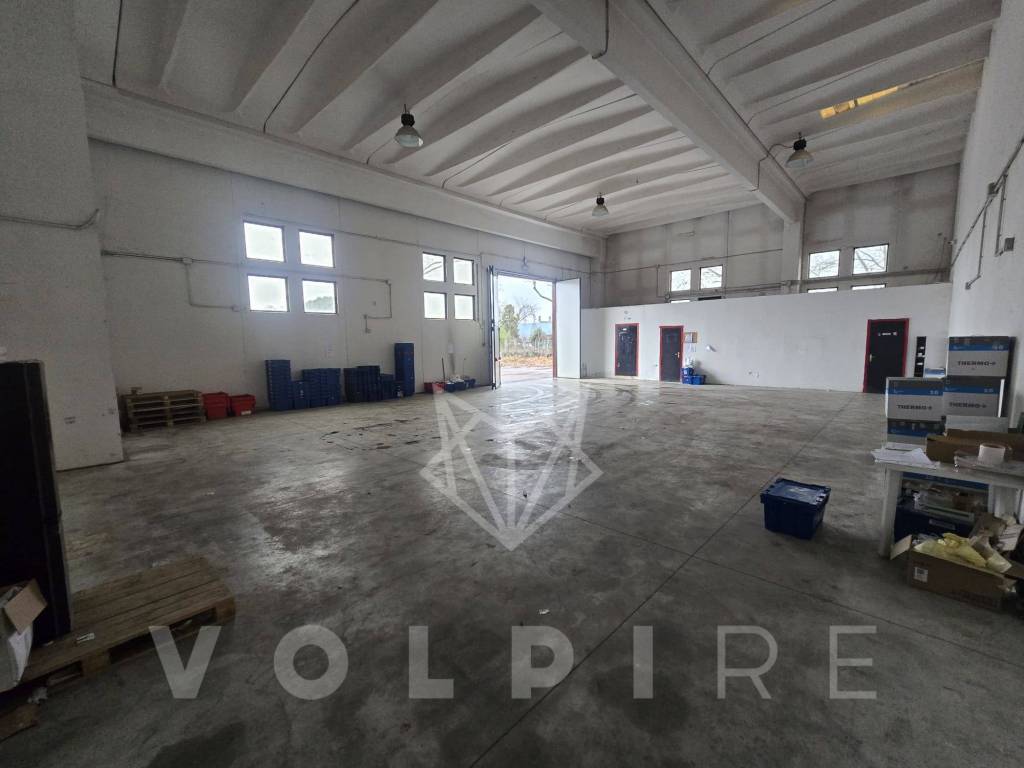 immagine annuncio 5 di 6