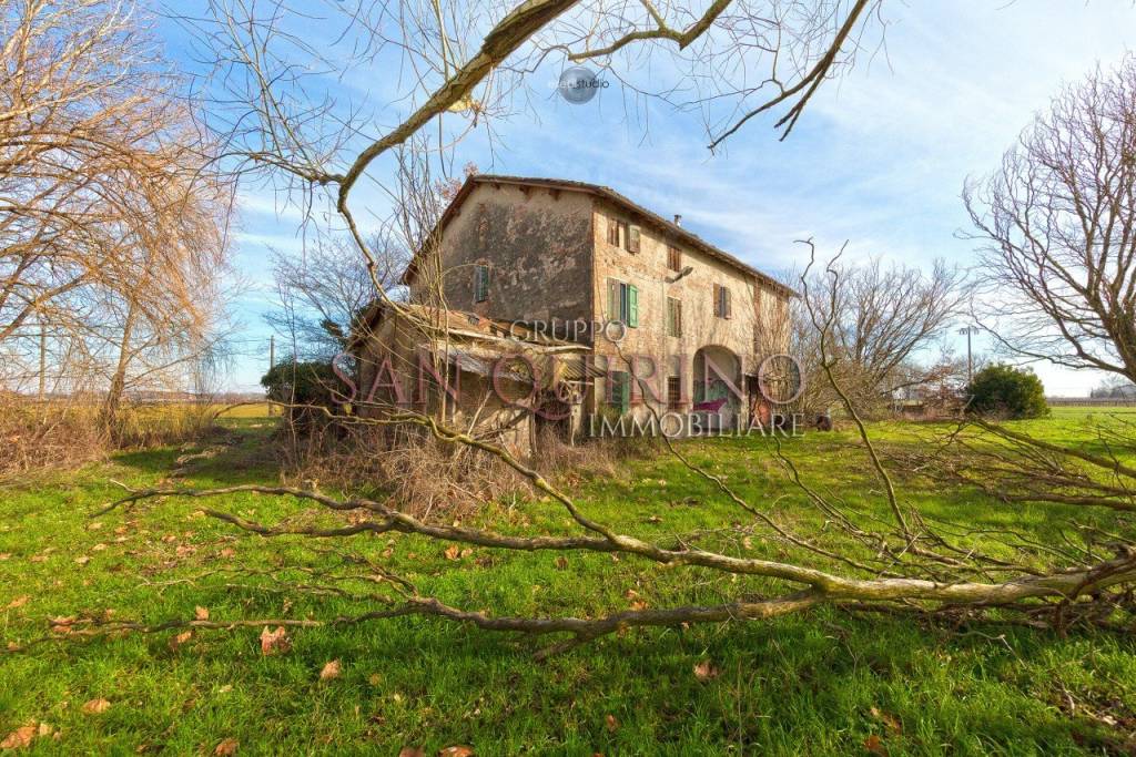 immagine annuncio 1 di 14