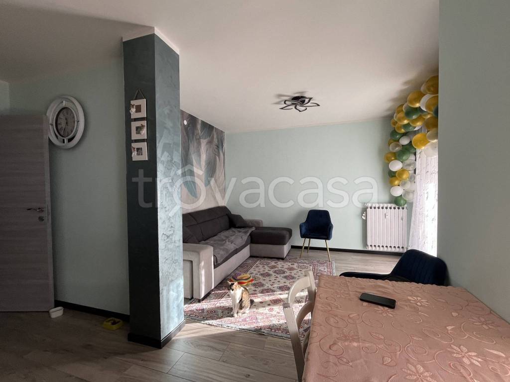 immagine annuncio 6 di 15