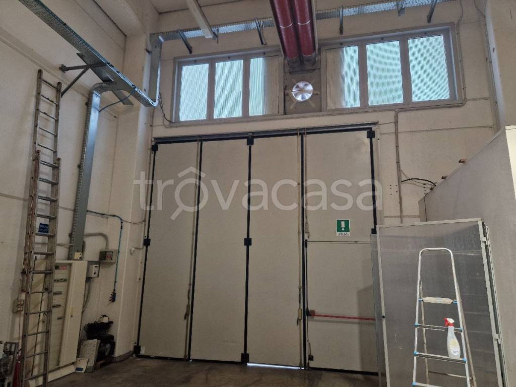 immagine annuncio 3 di 13